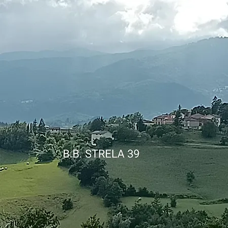 Compiano Bb Strela 39 Sambuceto (Parma)